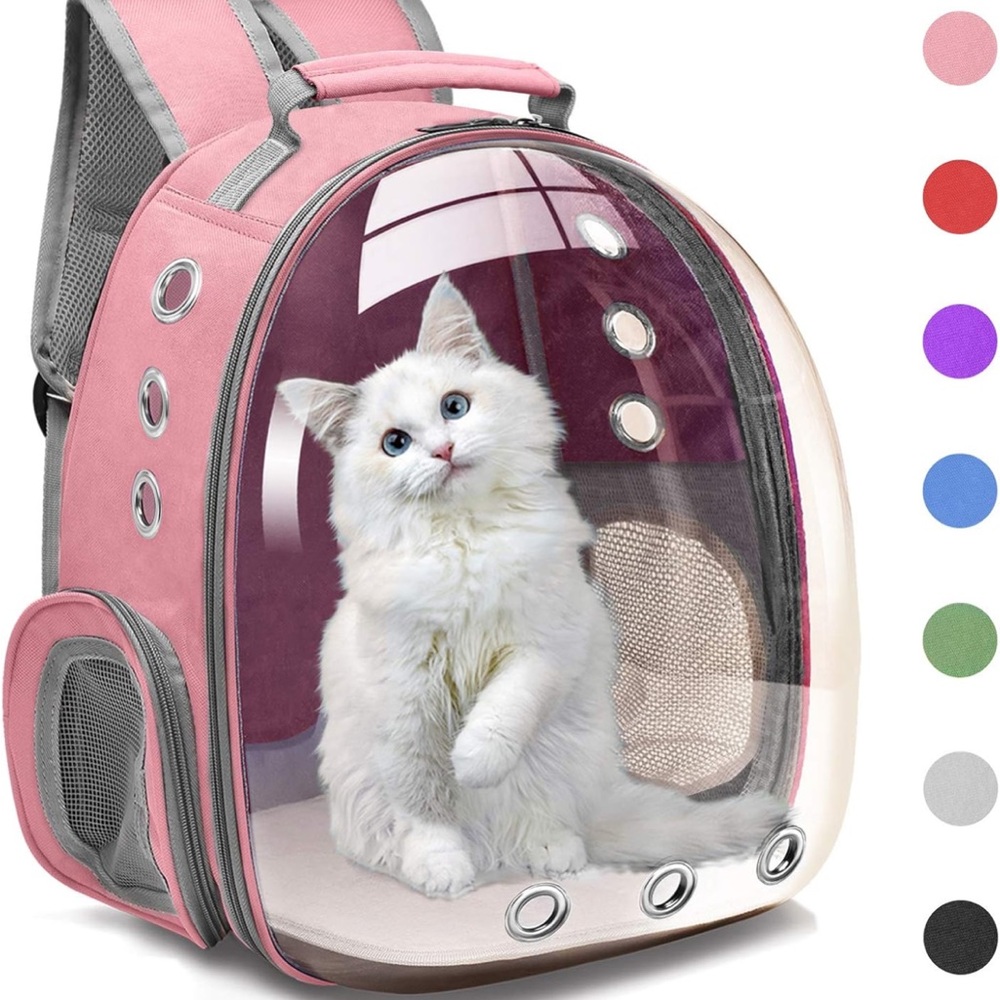 Chic Transparent Backpack with Pink Trim